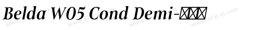 Belda W05 Cond Demi字体转换